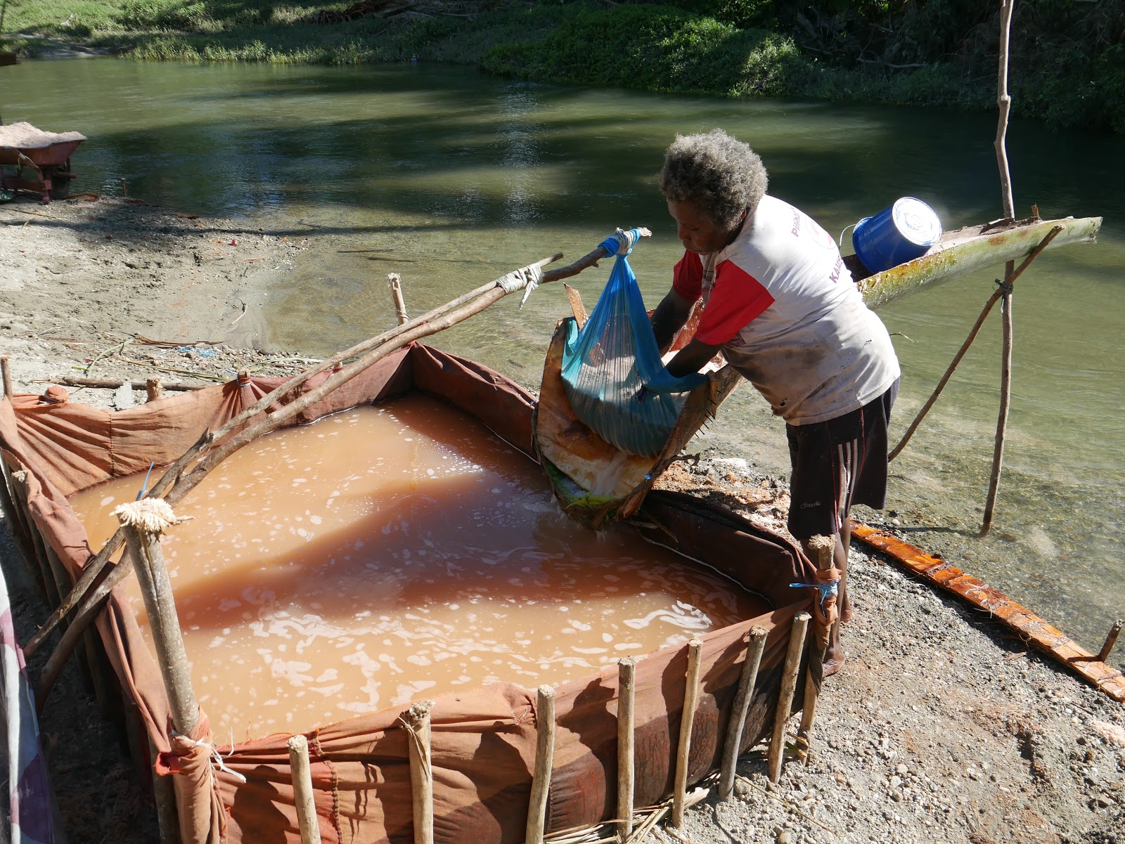 Field Notes from Papua: A Quest to Understand Sago