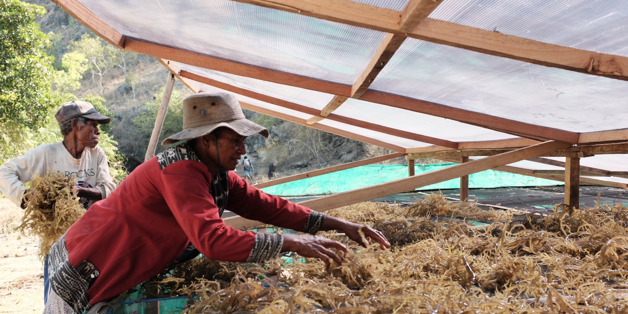 Kopernik Behind the Scenes of Building a Solar Dryer