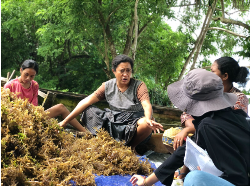 Increasing the Value of Seaweed Products in Lembata