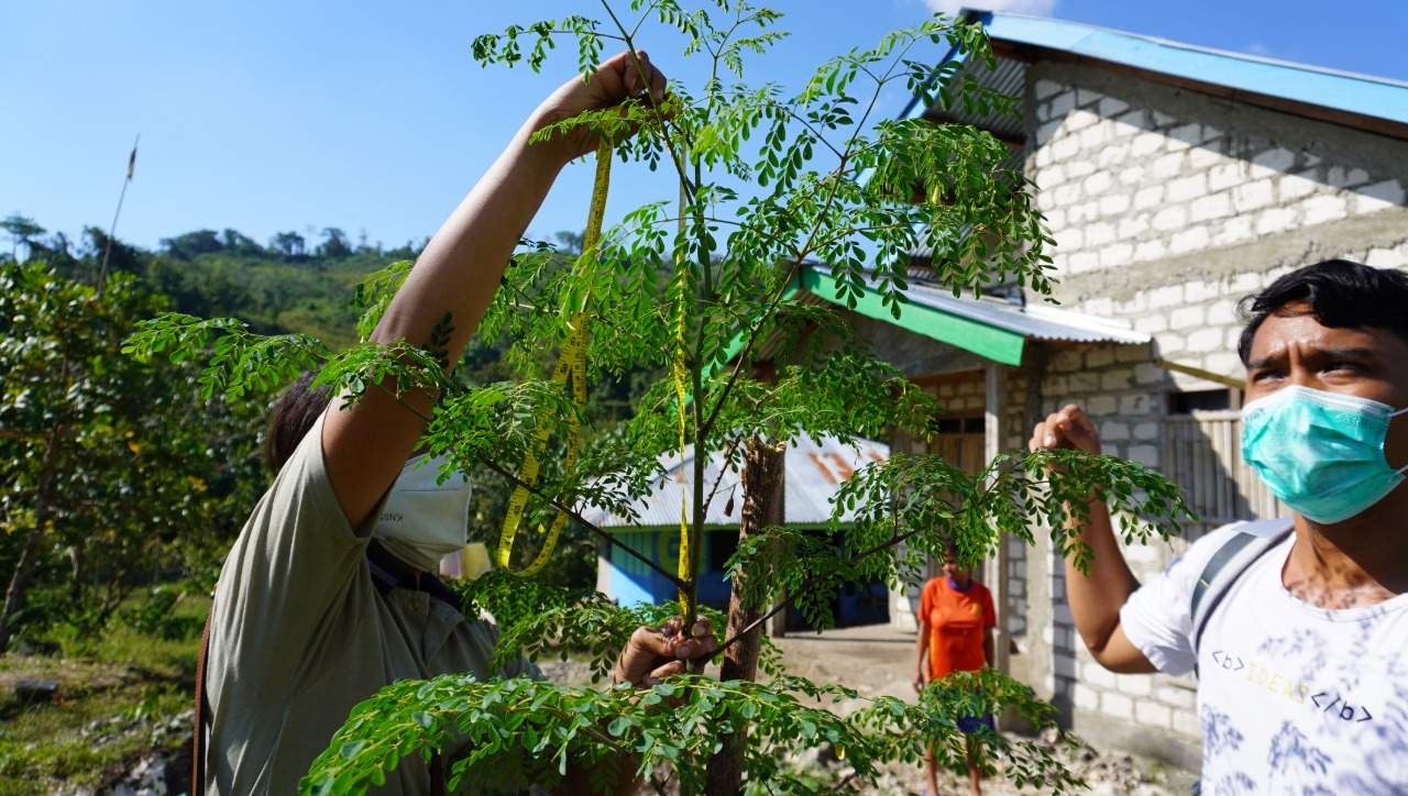 Lean Experimentation Fellowship: Working with Young Indonesians to Find Effective Solutions to Challenges