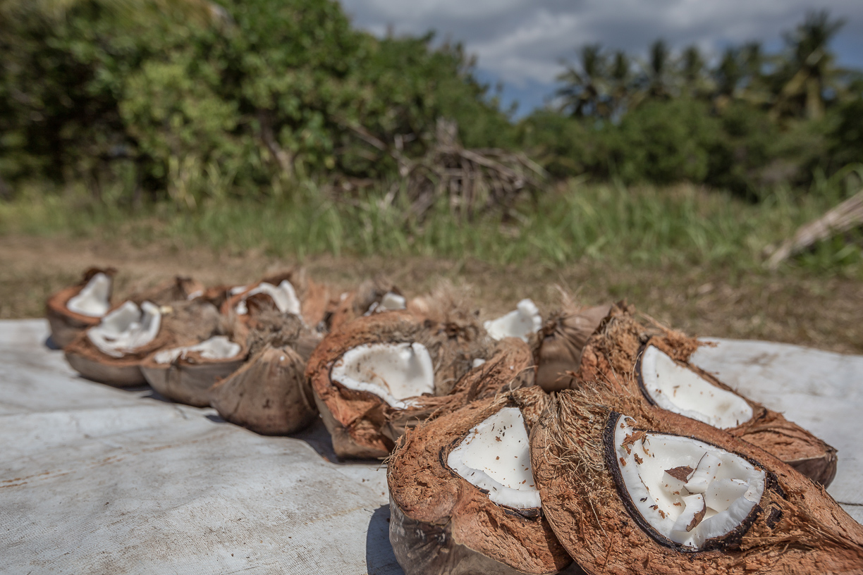 Identifying Smallholder Farmers' Unmet Needs in Papua and West Kalimantan (UNPK)