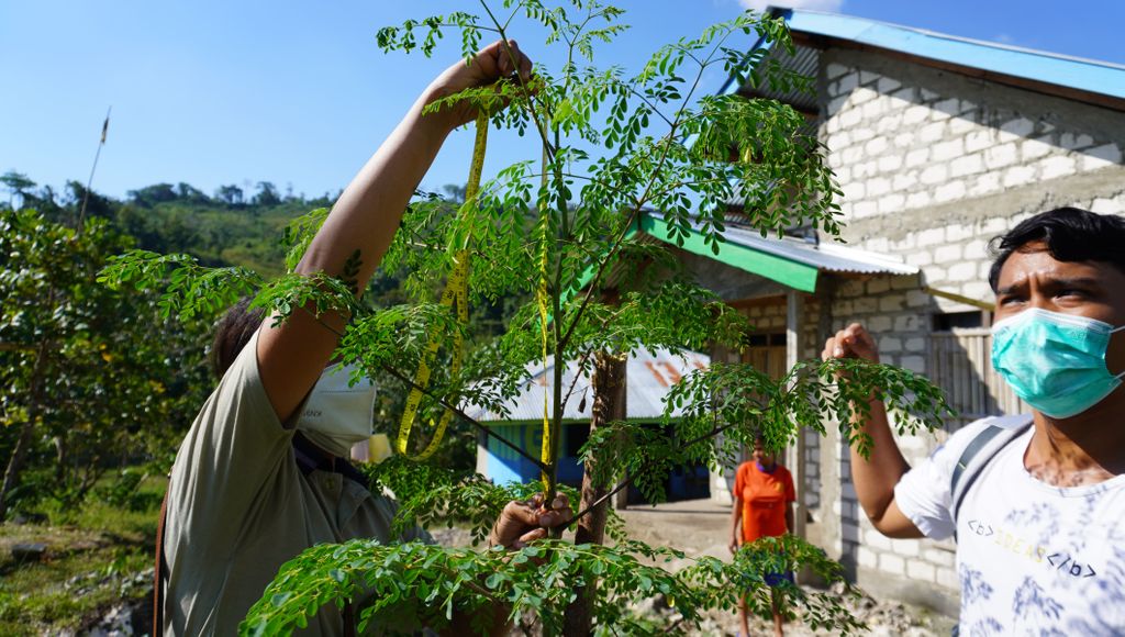 Establishing community-owned food garden: a stunting prevention initiative